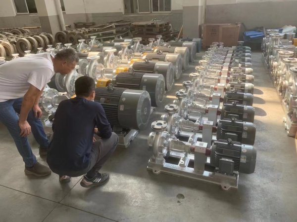 WRY系列熱(re)油泵